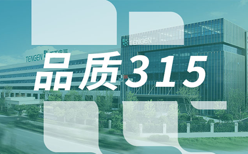 品質315，天正樹立斷路器品控標桿